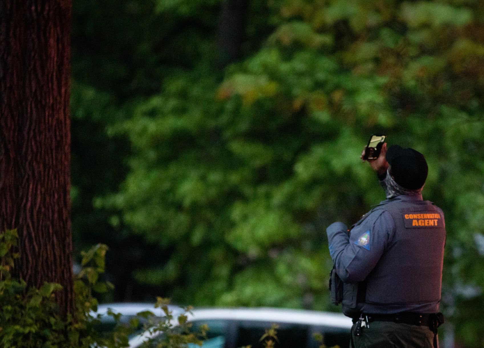 Black bear removed from Richmond Heights neighborhood